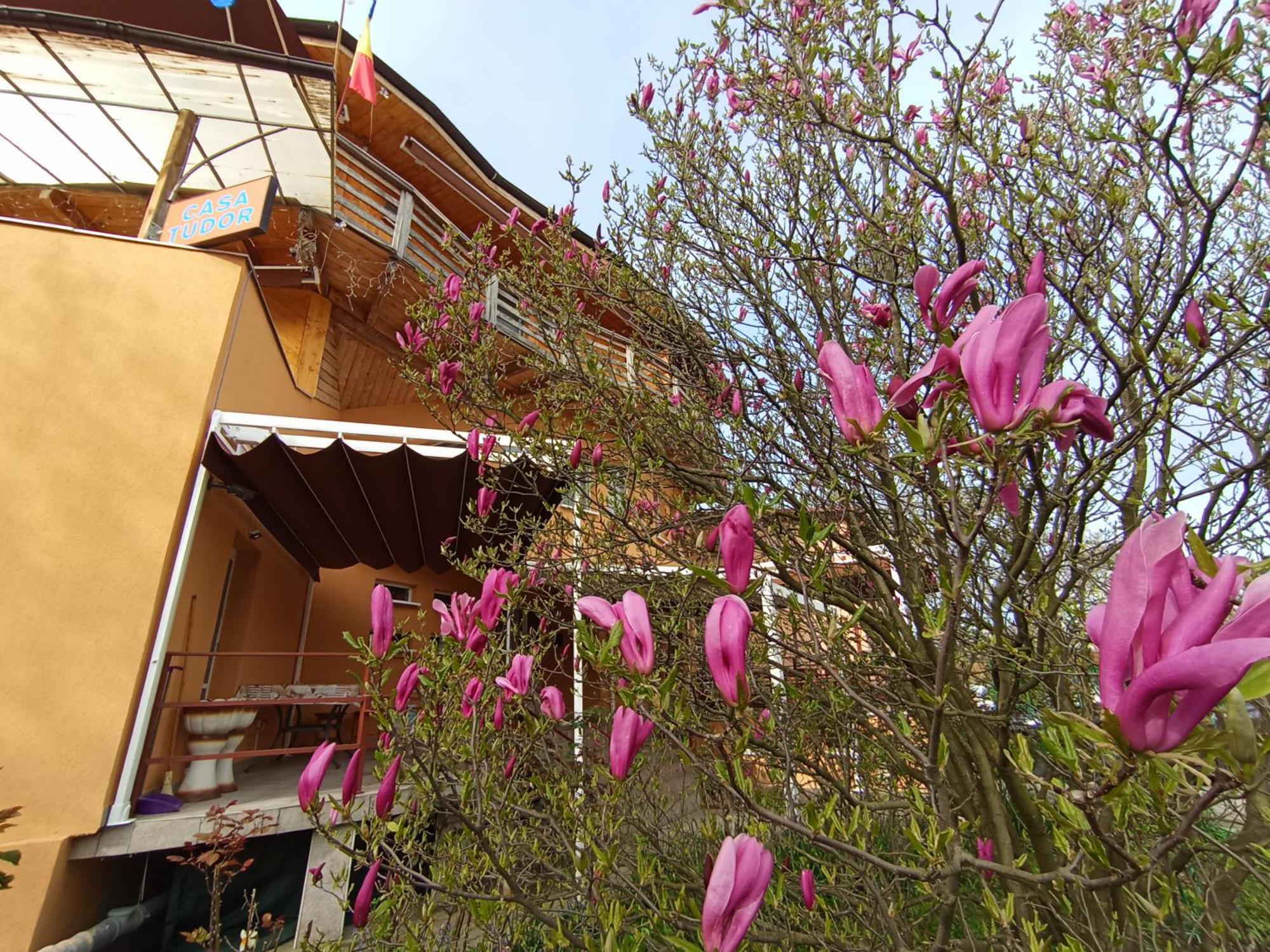 Casa Tudor Turda Exterior photo